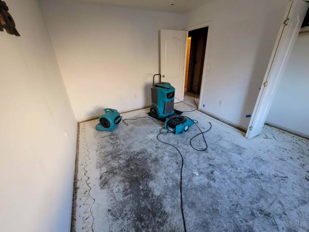 Best Ceiling water damage repair  in Whitesboro, AL