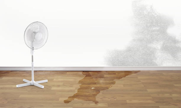 Best 24/7 water damage repair  in Whitesboro, AL