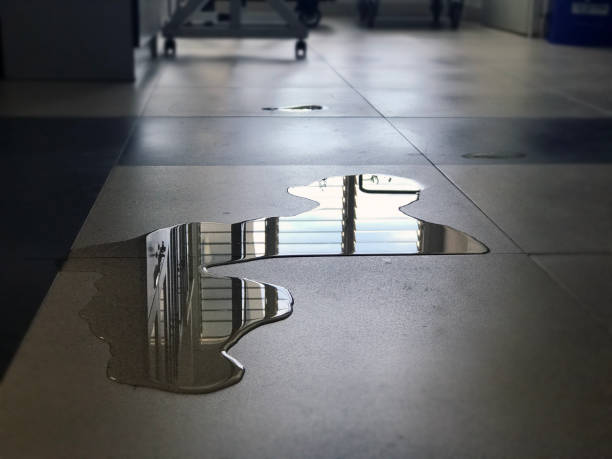 Best 24-hour water damage restoration  in Whitesboro, AL