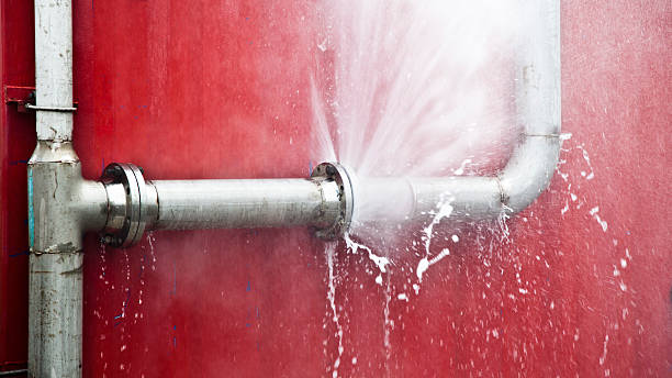  Whitesboro, AL Water damage restoration Pros